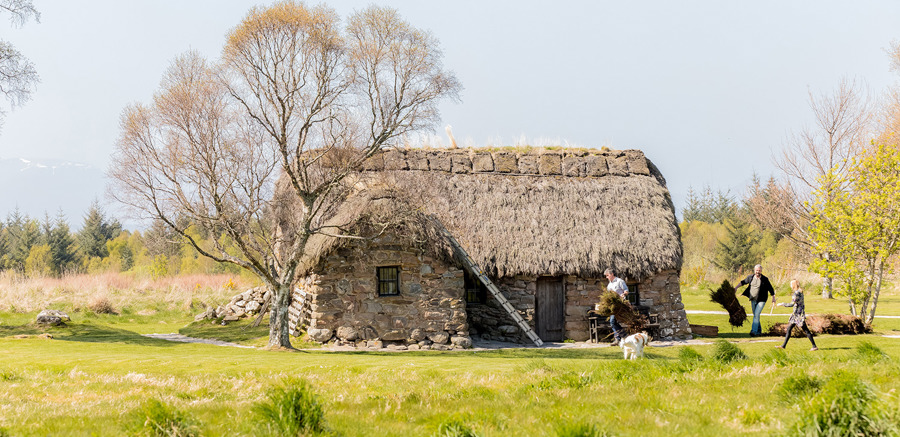 A thatched building in the middle of a grassy field