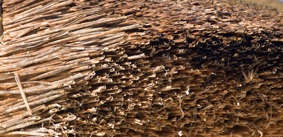 Natural materials used for thatching