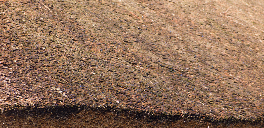 A close up image of thatch on a roof