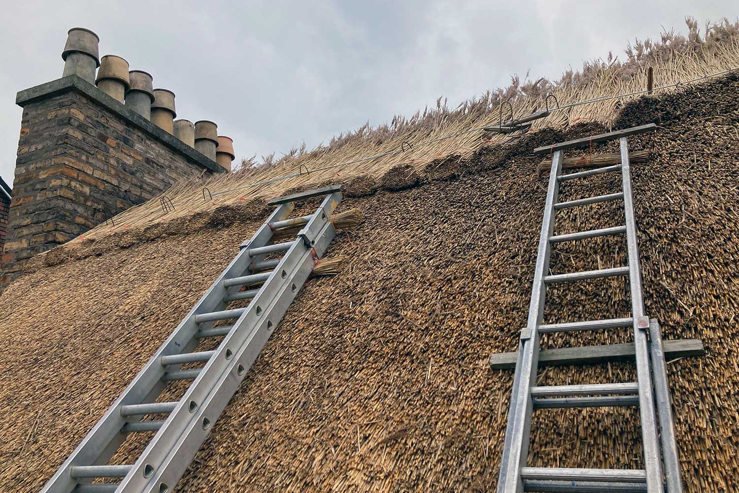 A roof view, with a large chimney stack to left of view. The main roof is covered in a light, sandy coloured thatch. There are two ladders resting on the roof.